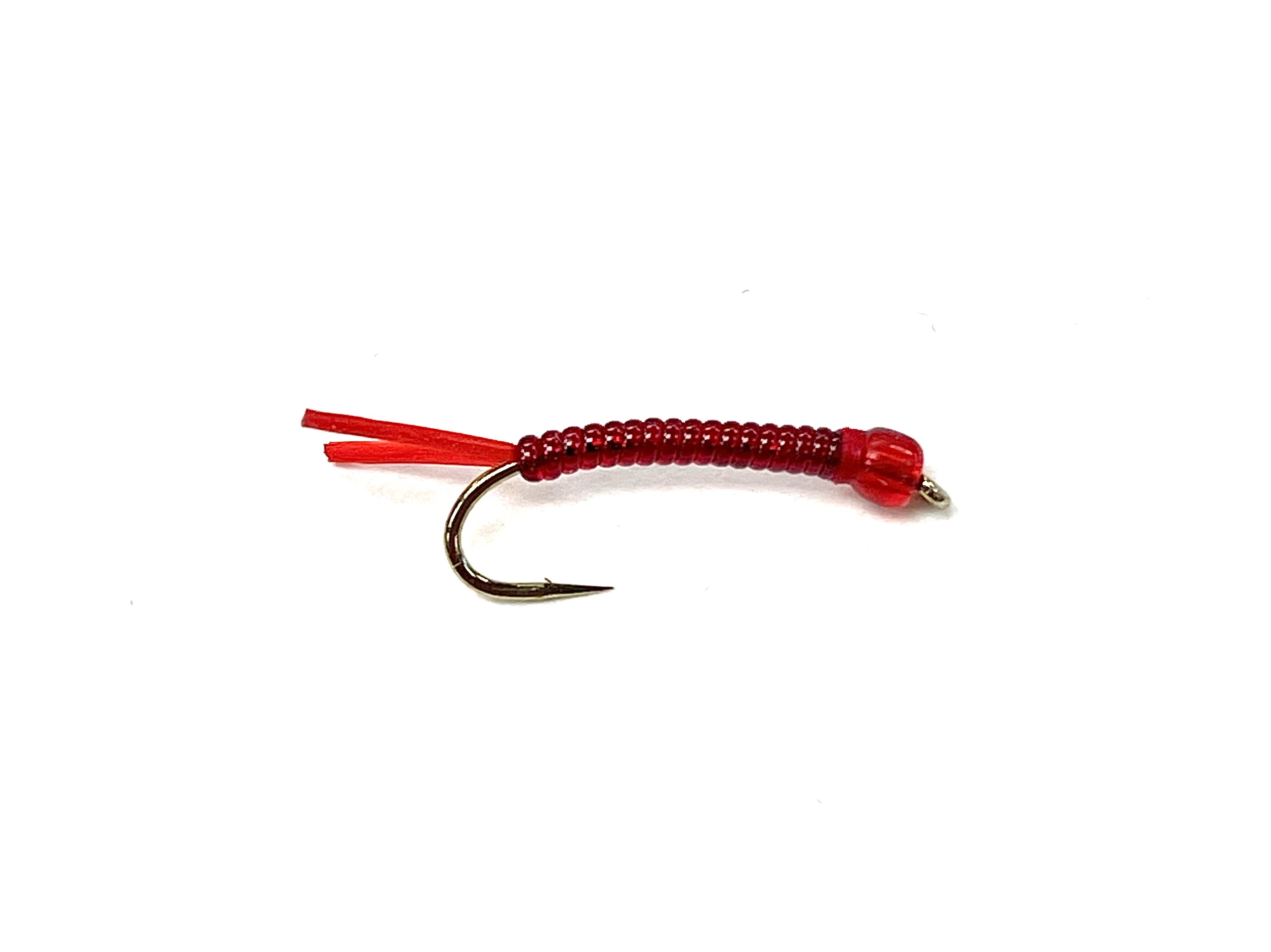 Bloodworm